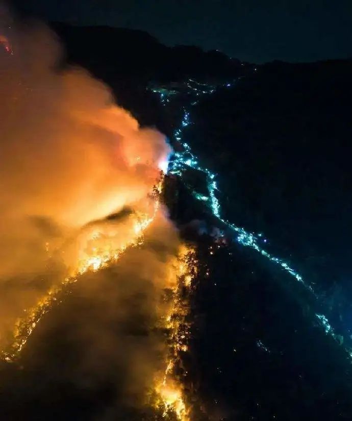 【地理资源】以火灭火，地理视角看森林火灾，森林火灾有没有有利的影响？|火灾_新浪新闻