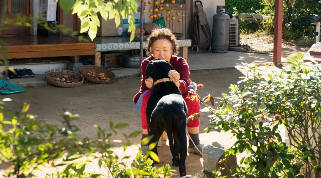 给300多位老人洗澡后，我所感受的尴尬、疾病与衰老