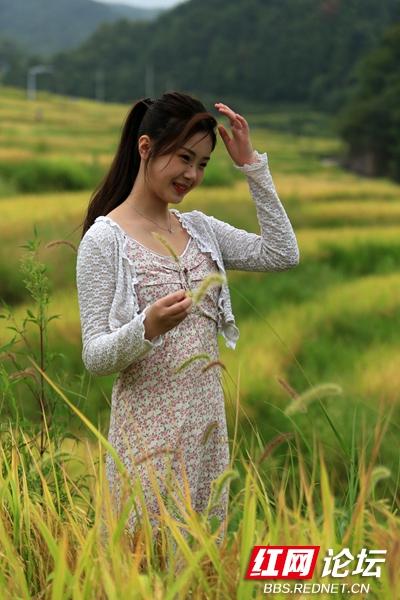 芷江千丘田里收获秋天，隔着屏幕都能感受到阵阵稻香休闲区蓝鸢梦想 - Www.slyday.coM
