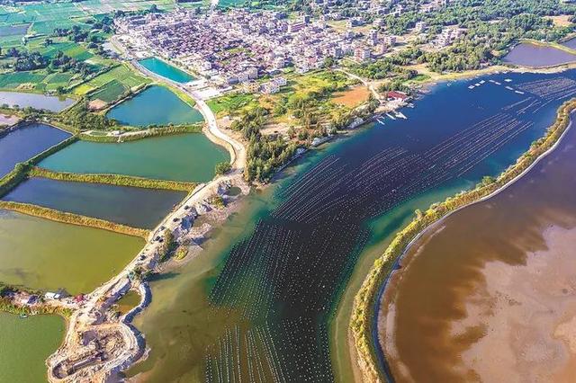 一村一景广东陆丰上海村碧海蓝天十里银滩