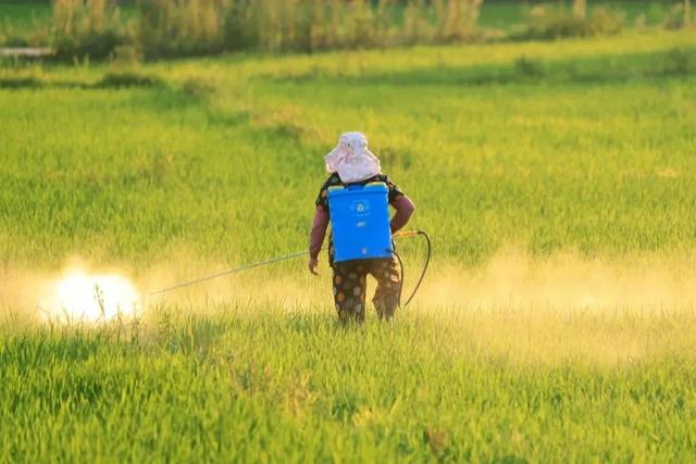 与你息息相关！这些新规9月起实施休闲区蓝鸢梦想 - Www.slyday.coM