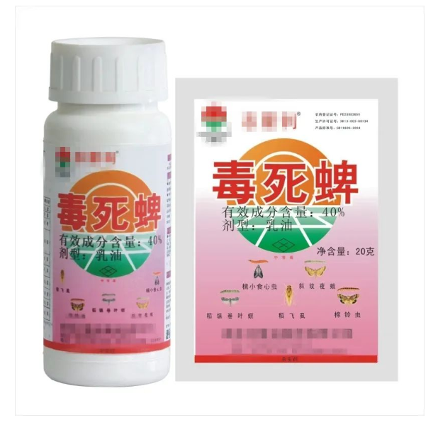 大连主场78%胜率：重庆铜梁龙8轮丢6球防线能否破局