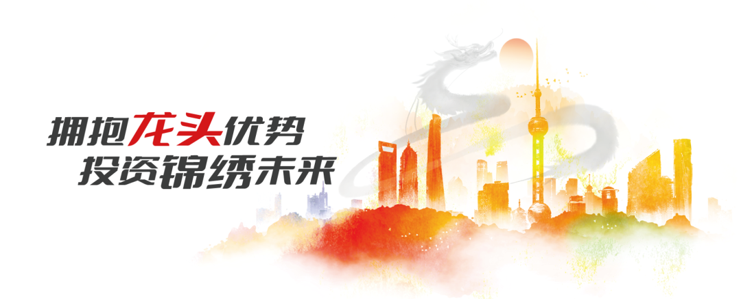 十问十答丨这只龙头优势基金特别在哪里