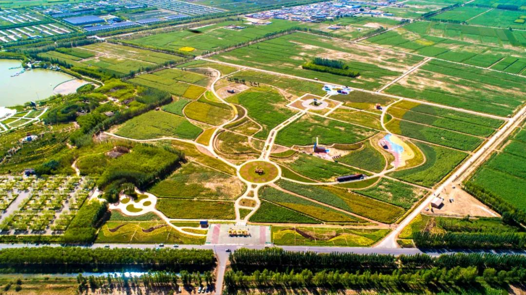 走进县城看发展之六十八 | 内蒙古五原县:现代农业发展底气足,势头好