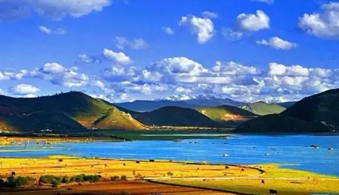 迪庆州谱写民族团结与生态文明新篇章