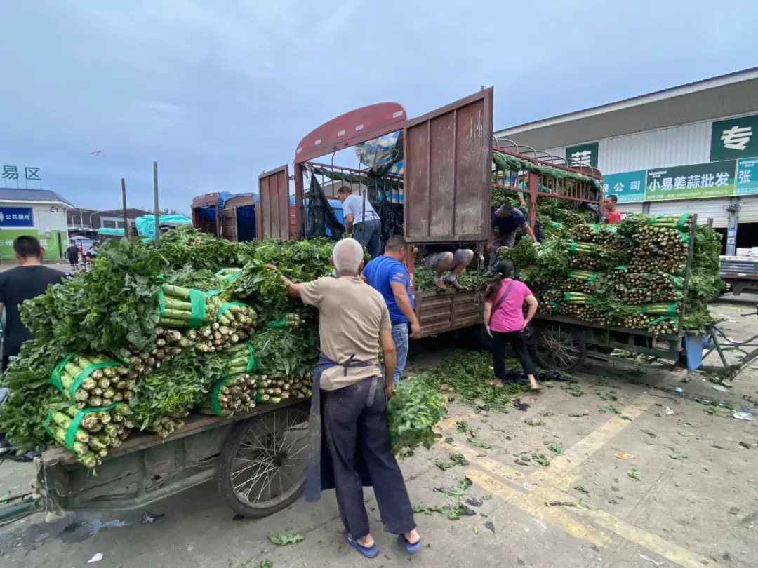 成都已有超20条传播链！游泳娱乐场所疫情最严重休闲区蓝鸢梦想 - Www.slyday.coM
