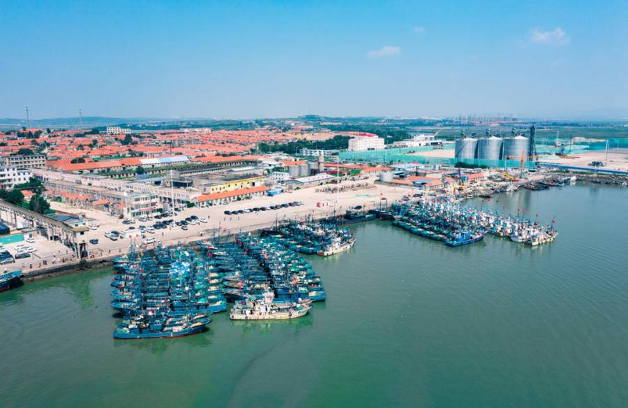 开海啦!乳山千帆竞发,鱼虾满仓|乳山|码头|乳山市_新浪新闻