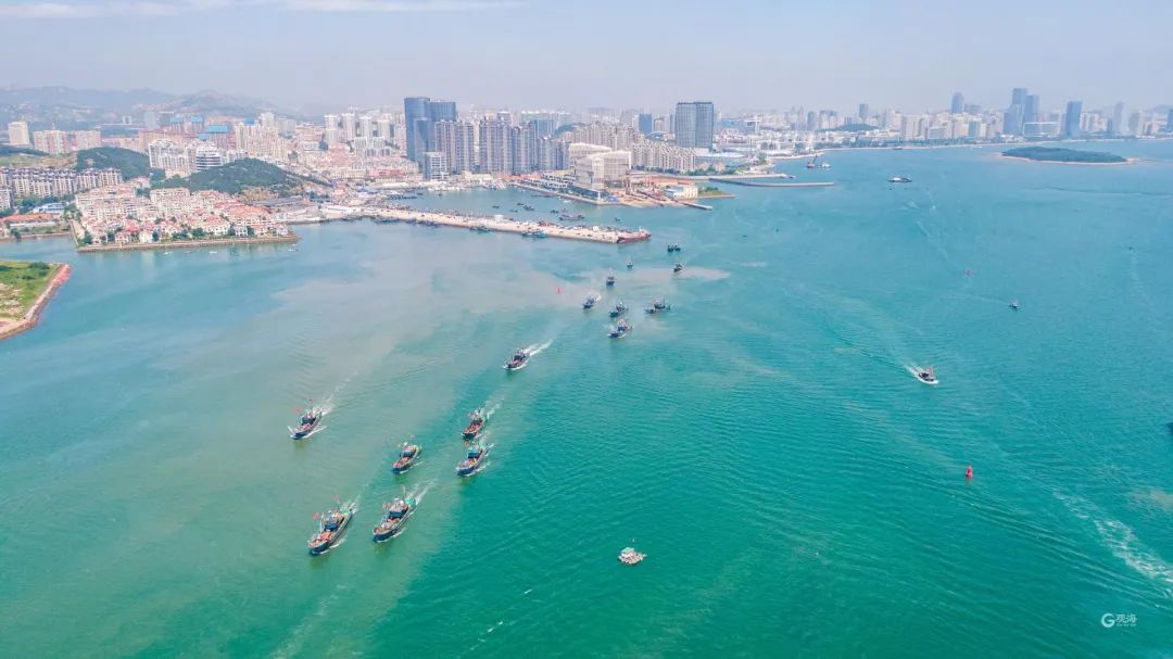 青岛开海啦鱼虾螃蟹炫起来