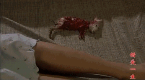 刘诗诗这“坏”闺蜜藏得太深，全网都误会她是甜妹休闲区蓝鸢梦想 - Www.slyday.coM