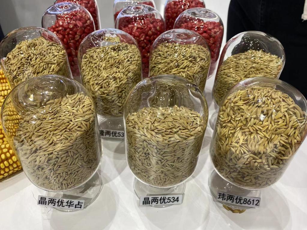 新华社记者 周琳 摄