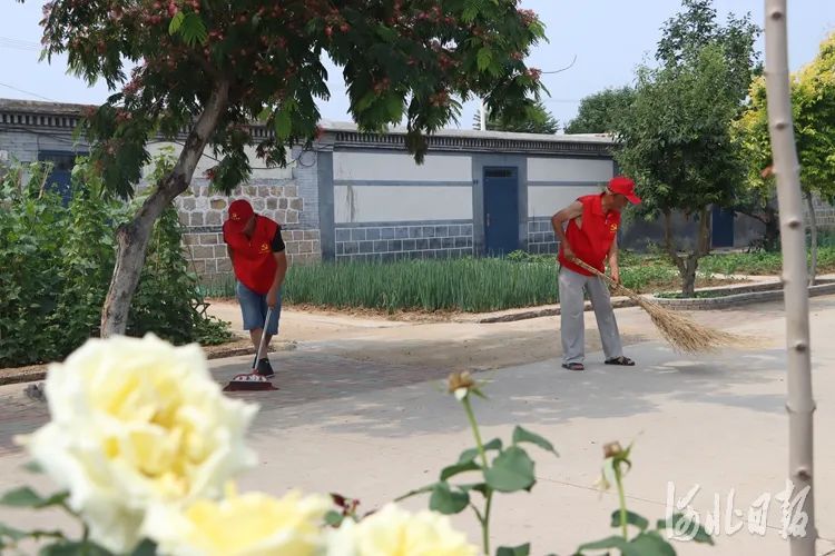 卢龙:从干净整洁向美丽宜居升级|农村_新浪财经_新浪网