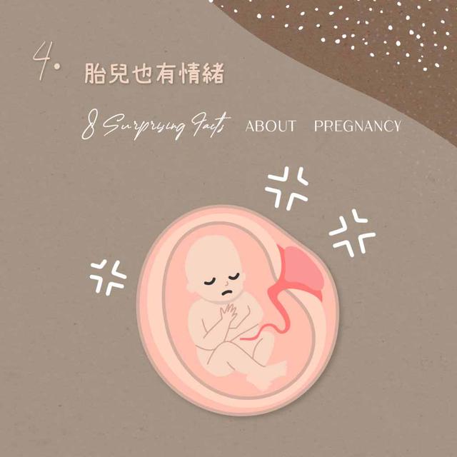 胎儿也会发脾气？关于怀孕的8个冷知识，孕妈妈要知道休闲区蓝鸢梦想 - Www.slyday.coM