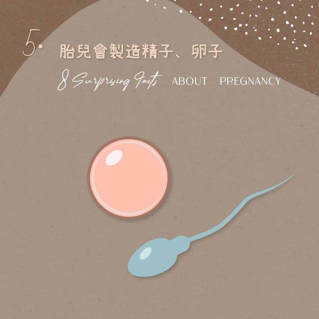 胎儿也会发脾气？关于怀孕的8个冷知识，孕妈妈要知道休闲区蓝鸢梦想 - Www.slyday.coM