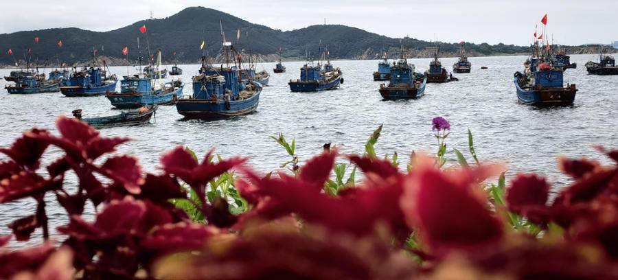 太美了吧！随手一拍就是大片，这是你不能错过的精致威海休闲区蓝鸢梦想 - Www.slyday.coM