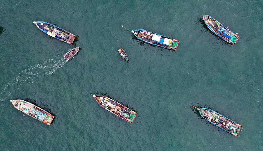 太美了吧！随手一拍就是大片，这是你不能错过的精致威海休闲区蓝鸢梦想 - Www.slyday.coM