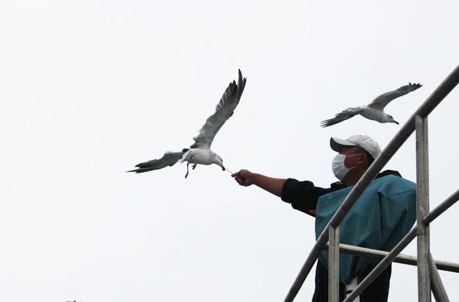 太美了吧！随手一拍就是大片，这是你不能错过的精致威海休闲区蓝鸢梦想 - Www.slyday.coM