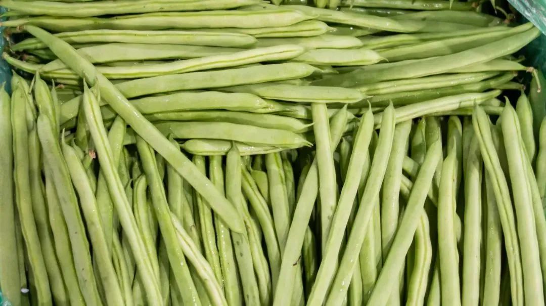 苦瓜降血糖?西葫芦致癌?……8条关于蔬菜的谣言,别再信了!|苦瓜_新浪