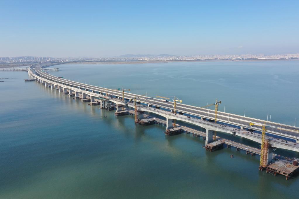 这是2021年11月30日拍摄的新建福厦铁路泉州湾跨海大桥（无人机照片）。新华社记者 林善传 摄