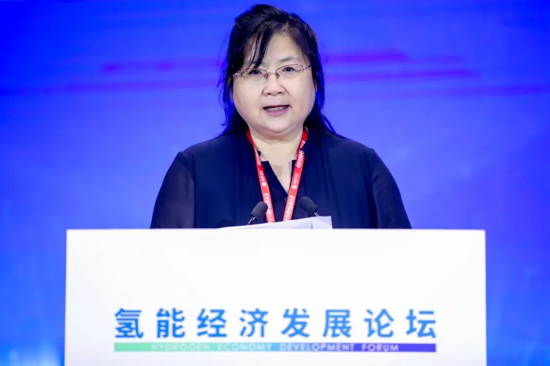 韩伟 我国氢能产业正迈入新发展阶段 中国 新浪财经 新浪网