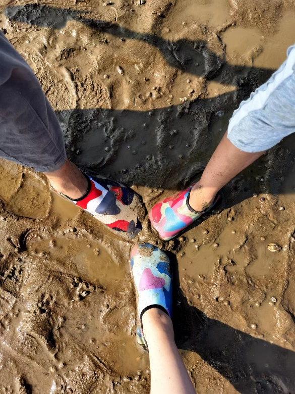 隐藏优势是,在赶海园的烂泥地上行走,可体验奇妙的踩shi感.