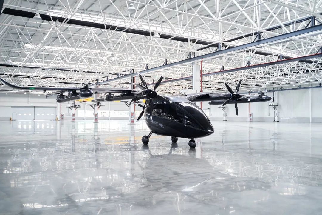 雨燕飞行秘密 最强飞行鸟类有哪些