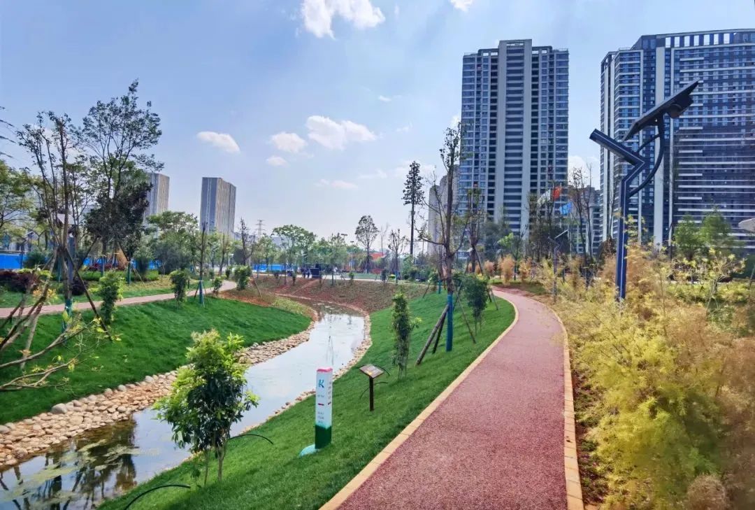 下沉式绿地将雨水储存 资料图