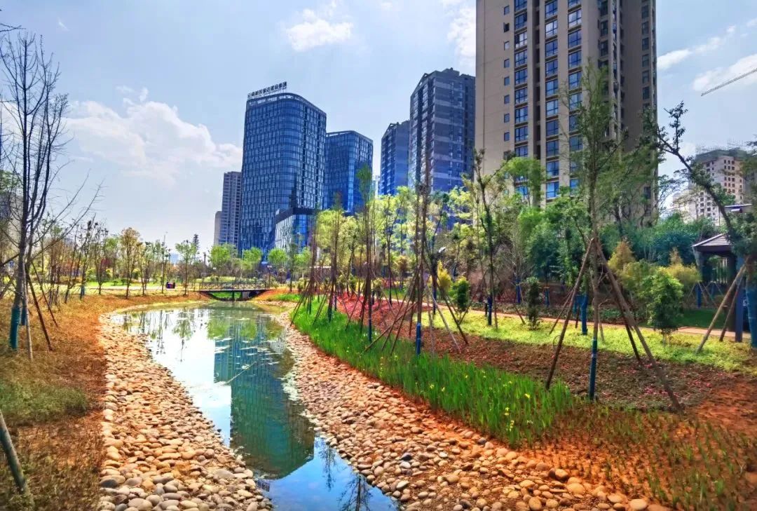 下沉式绿地将雨水储存 资料图