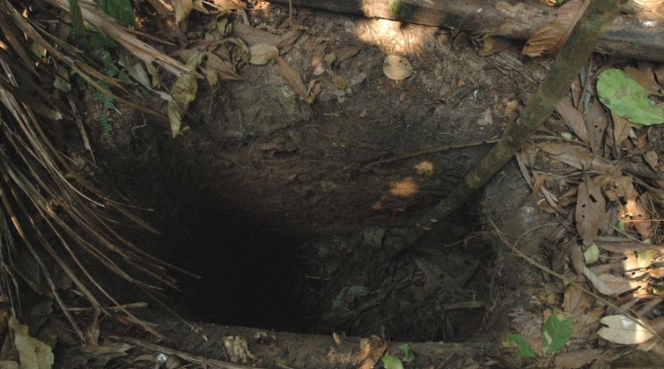 “世界上最孤独的人”去世，他的死也是巴西一个原住民部落的终了休闲区蓝鸢梦想 - Www.slyday.coM