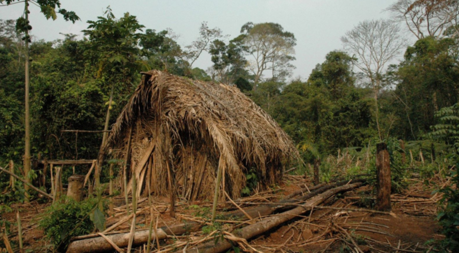 “世界上最孤独的人”去世，他的死也是巴西一个原住民部落的终了休闲区蓝鸢梦想 - Www.slyday.coM