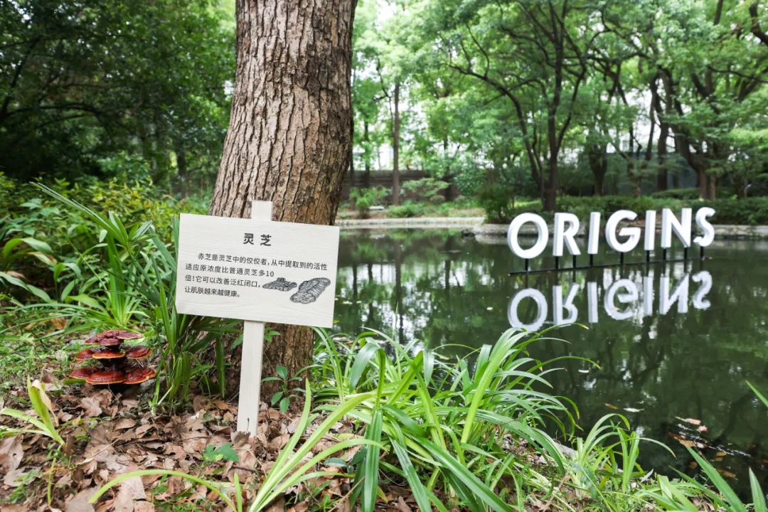 「悦木之源 深層滅火 瓶瓶算樹」植愈公益活動現場