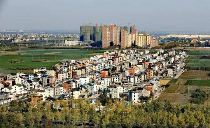 真的大变样！如此田园风光的杭州钱塘，你见过吗？|杭州市|围垦_新浪新闻