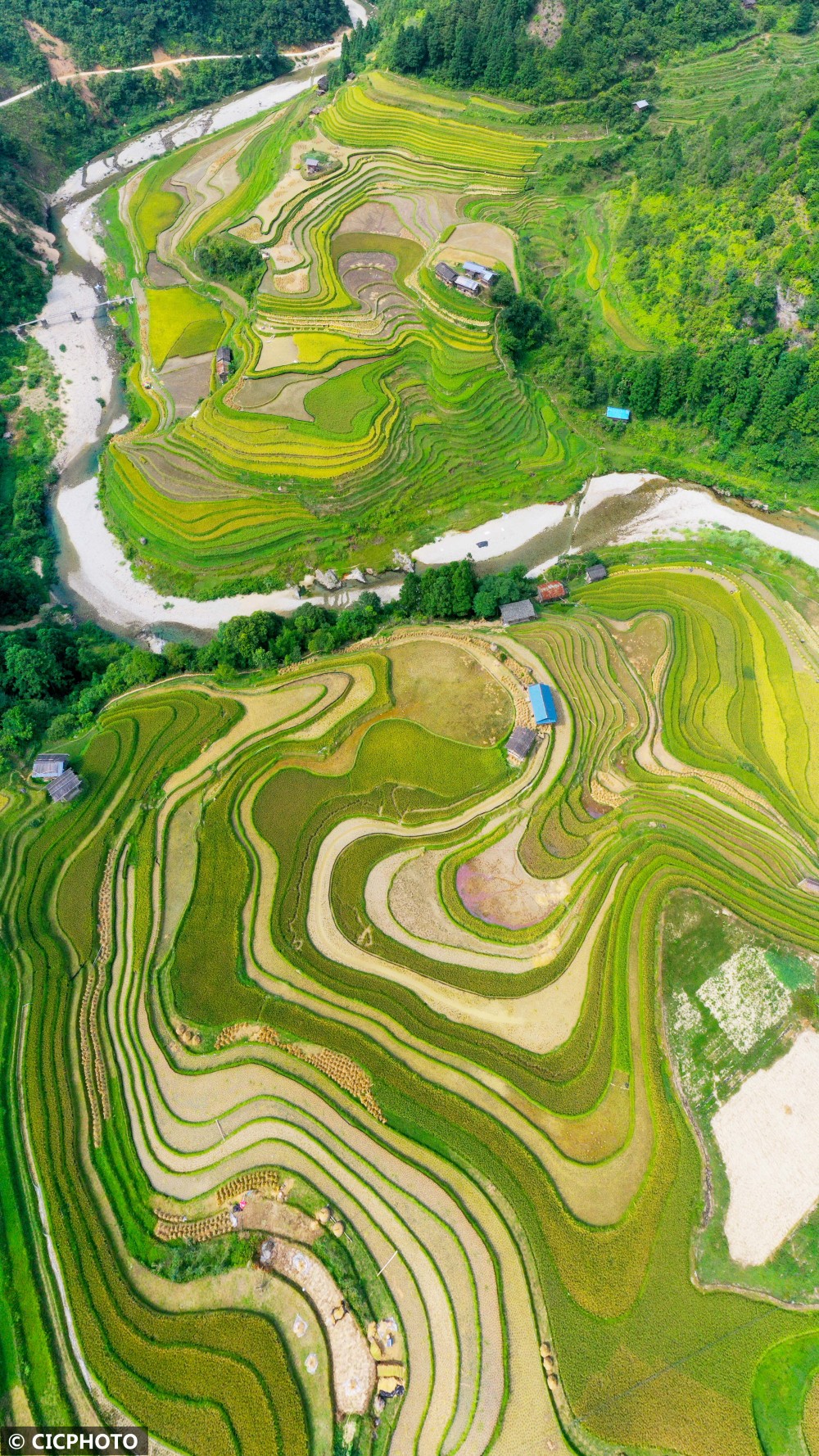 贵州从江月亮山梯田丰景如画