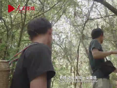 斯里兰卡真菌专家萨曼塔：我是一朵生长在云南的“蘑菇”