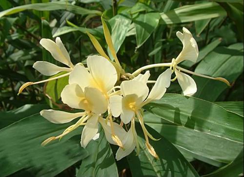 一个人不回复你的信息,其实是心里没有你休闲区蓝鸢梦想 - Www.slyday.coM 一个人不回复你的信息,其实是心里没有你休闲区蓝鸢梦想 - Www.slyday.coM