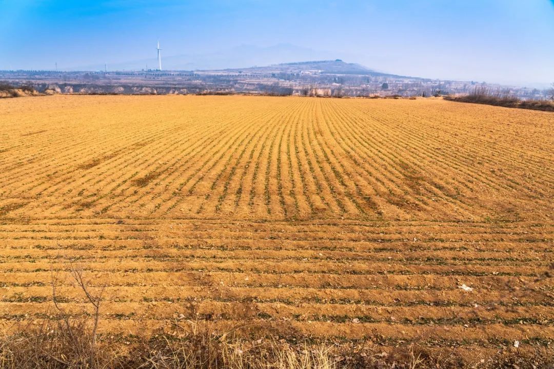 图库版权图片，不授权转载