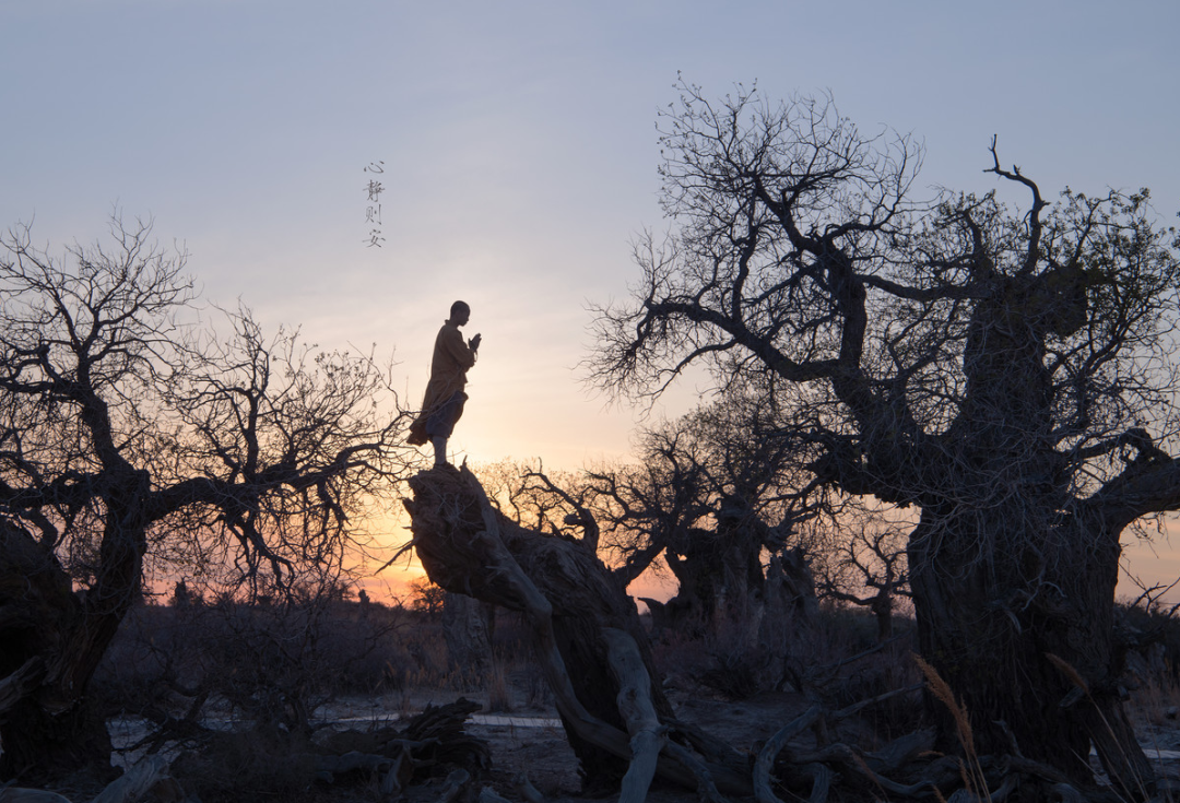 自己因果自己了自己修行自己好