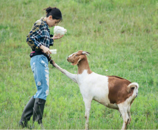 原来成熟女性也能这么可爱！看王子文的时髦日常，简约中带着俏皮休闲区蓝鸢梦想 - Www.slyday.coM