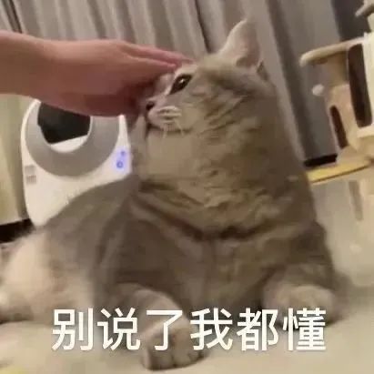 偷翻老公淘宝聊天记录，尺度虽然“不堪入目”，但我还是不信他会出轨哈哈哈哈休闲区蓝鸢梦想 - Www.slyday.coM