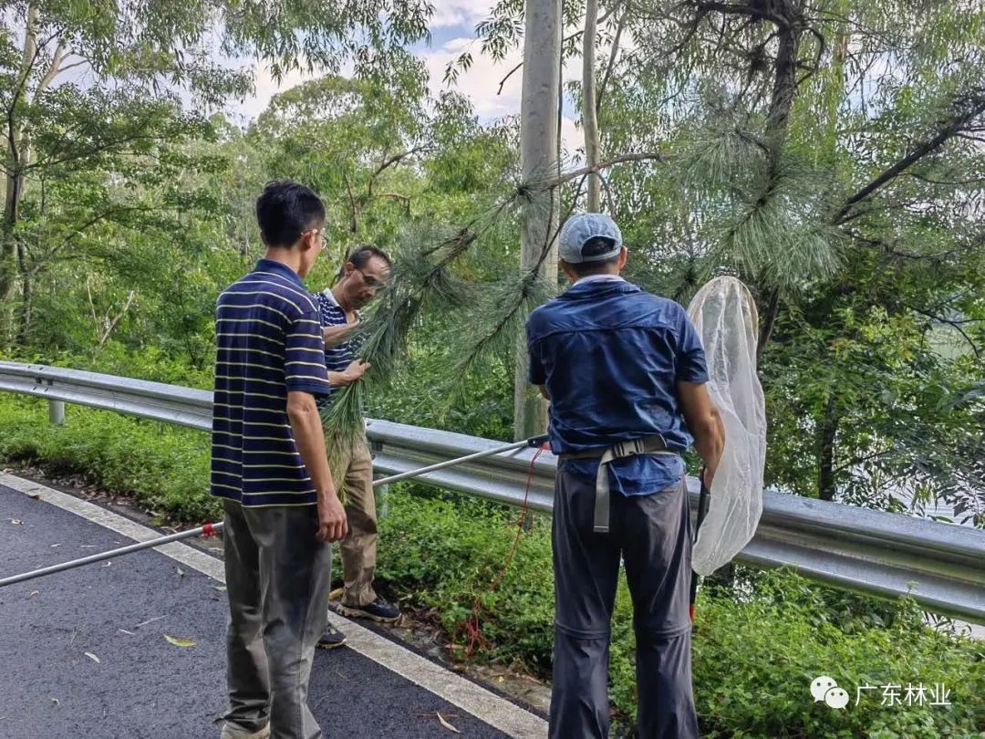 广东：普查发现陆生外来入侵物种98种，湿地入侵物种24种休闲区蓝鸢梦想 - Www.slyday.coM