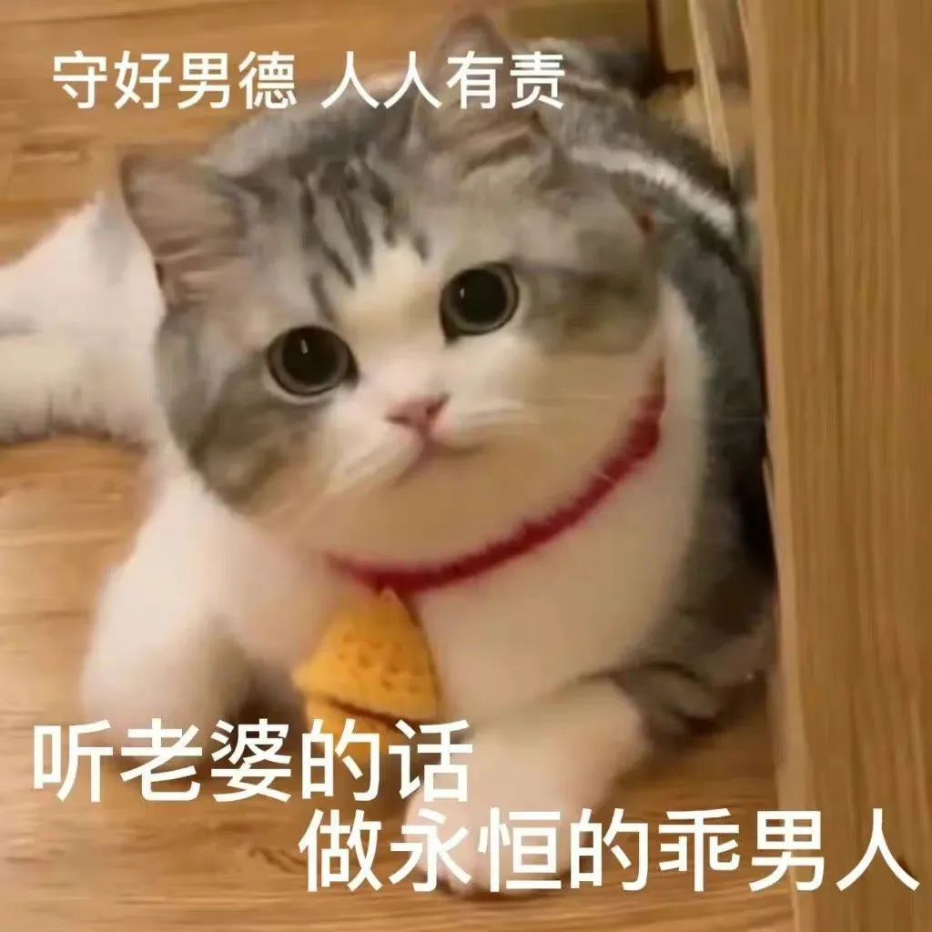 偷翻老公淘宝聊天记录，尺度虽然“不堪入目”，但我还是不信他会出轨哈哈哈哈休闲区蓝鸢梦想 - Www.slyday.coM