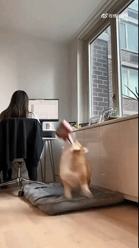 偷翻老公淘宝聊天记录，尺度虽然“不堪入目”，但我还是不信他会出轨哈哈哈哈休闲区蓝鸢梦想 - Www.slyday.coM