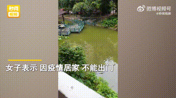 偷翻老公淘宝聊天记录，尺度虽然“不堪入目”，但我还是不信他会出轨哈哈哈哈休闲区蓝鸢梦想 - Www.slyday.coM