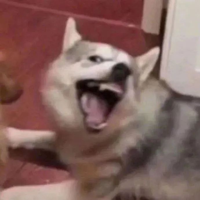 偷翻老公淘宝聊天记录，尺度虽然“不堪入目”，但我还是不信他会出轨哈哈哈哈休闲区蓝鸢梦想 - Www.slyday.coM