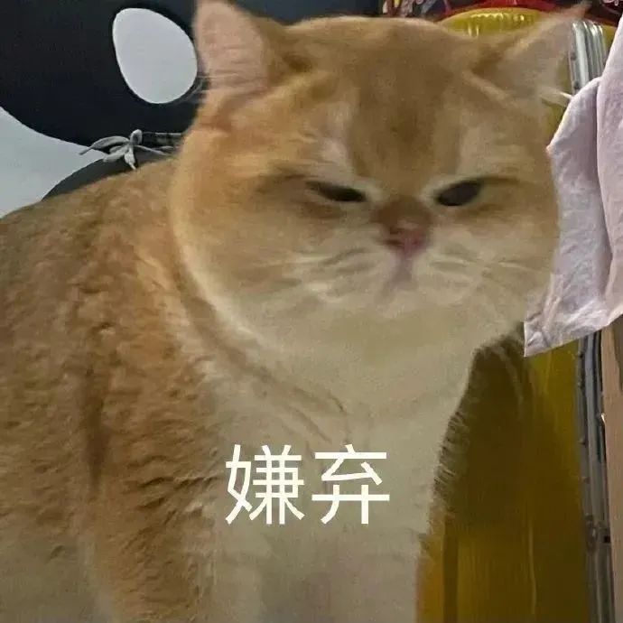 偷翻老公淘宝聊天记录，尺度虽然“不堪入目”，但我还是不信他会出轨哈哈哈哈休闲区蓝鸢梦想 - Www.slyday.coM