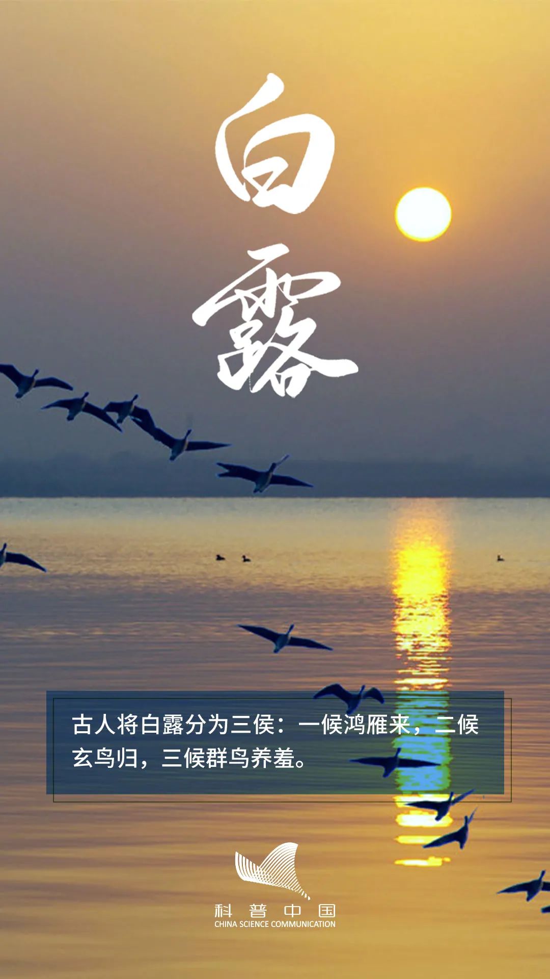 白露,是二十四节气中之第十五个节气,标志着孟秋时节的结束和仲秋时节