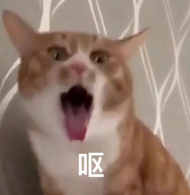 偷翻老公淘宝聊天记录，尺度虽然“不堪入目”，但我还是不信他会出轨哈哈哈哈休闲区蓝鸢梦想 - Www.slyday.coM