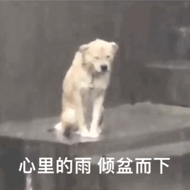 偷翻老公淘宝聊天记录，尺度虽然“不堪入目”，但我还是不信他会出轨哈哈哈哈休闲区蓝鸢梦想 - Www.slyday.coM