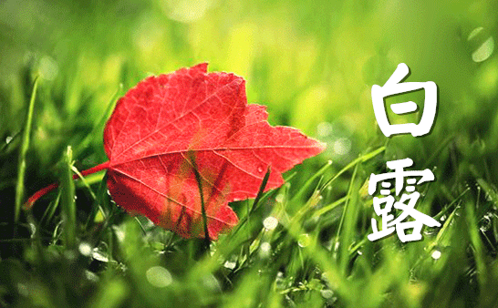 白露