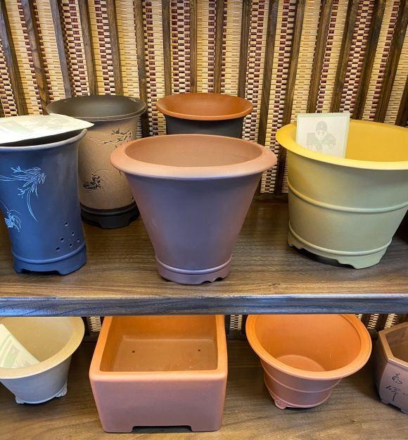 上百块的花盆，有必要买吗？2块的塑料盆，一样能养多肉！休闲区蓝鸢梦想 - Www.slyday.coM