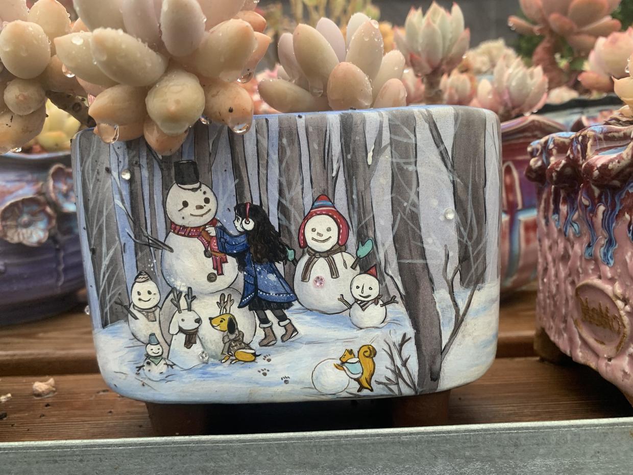 上百块的花盆，有必要买吗？2块的塑料盆，一样能养多肉！休闲区蓝鸢梦想 - Www.slyday.coM